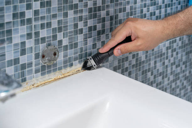 Best Emergency Mold Remediation in Buffalo Grove, IL